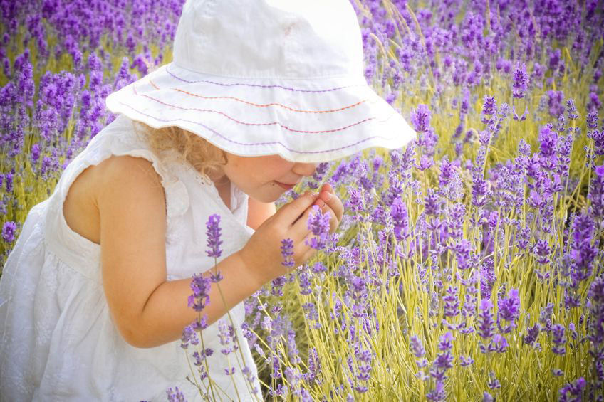 Young girl smelling Lavendar flowers