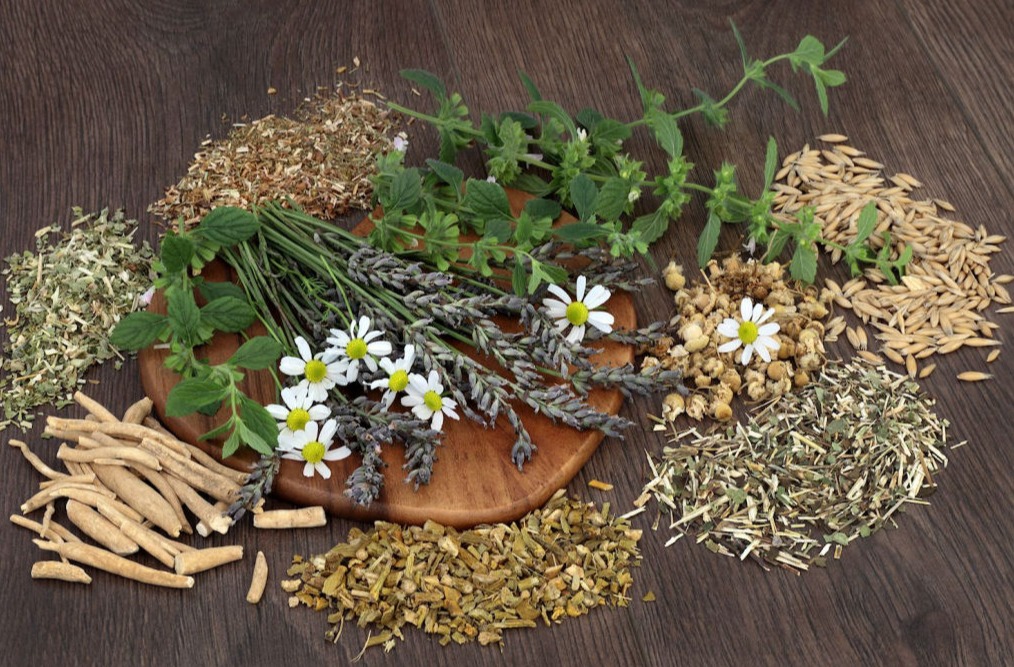 Herbs for sleep disorders